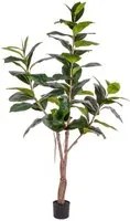 Ficus Rubber Artificiale con 65 Foglie Altezza 180 cm