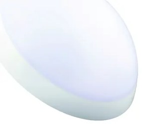 Fulgur 20994 - Plafoniera tecnica ROMANA 1xE27/100W/230V IP64