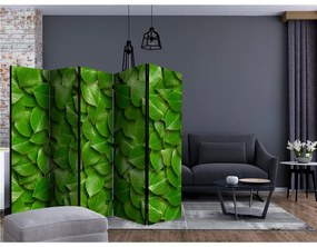 Paravento  Secret Garden II [Room Dividers]  Colore ---, Dimensioni e Misure 225x172