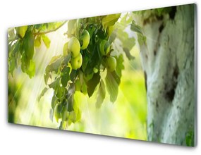 Quadro acrilico Mele, un ramo di un albero, la natura 100x50 cm