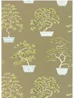 Sanderson Carta da parati Penjing - Scallion Green