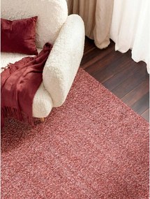 Tappeto rosa scuro tessuto a mano 160x230 cm Notting Hill Portobello – Ted Baker