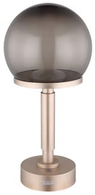 Globo 21034CH - LED Lampada da tavolo ricaricabile HAKU LED/2,5W/5V 2700/4000/6500K rosa