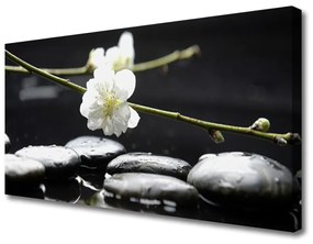 Quadro su tela Ramoscello di steli di fiori 100x50 cm