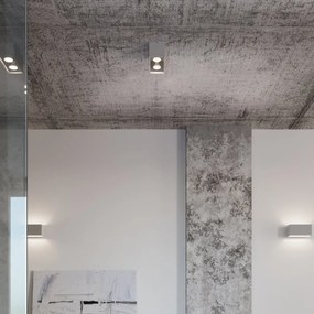 Applique Rettangolare da soffitto 2xGU10 QUAD in alluminio