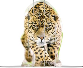 Puzzle 3D Ravensburger 4 immagini  vision wild cats 37 pezzi 2749