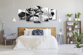 Quadri 5 pezzi – Bellissima armonia di pietre e orchidea in bianco e nero