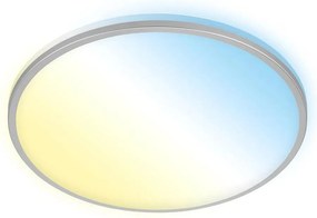 Briloner 3065-014 - Plafoniera LED dimmerabile IVY 42W/230V Wi‑Fi Tuya Ø49 cm + telecomando