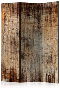 Paravento separè Corteccia di albero (3-parti) - texture legnosa dai colori caldi