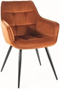 Sedia Lilia velluto cannella velluto Blu4215