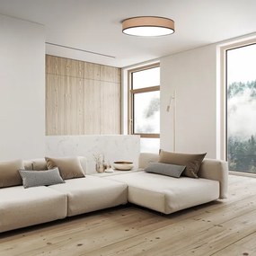 Solight WO8004 - Lampada LED dimmerabile BROWNIE LED/60W/230V 3000-6500K Ø 50 cm