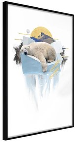 Poster  King of the Arctic  Cornice Quadri Cornice nera, Larghezza x Altezza Home decor 20x30