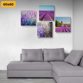 Set di quadri – Per gli amanti della lavanda