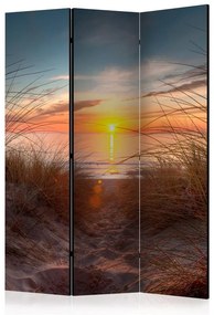 Paravento  Sunset over the Atlantic Ocean [Room Dividers]  Colore colorful, Dimensioni e Misure 135x172