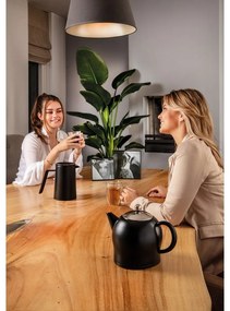 Pressa francese in metallo nero San Marco - Leopold Vienna