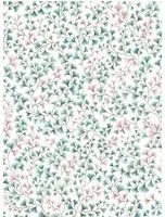 Cole & Son Carta da parati Maidenhair - Petrol/ Blush