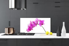 Schienali cucina Orchidea Fiore di orchidea 100x50 cm