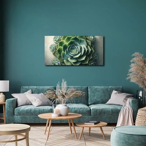 Quadro su tela – Bellezza della pianta grassa