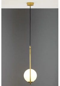 Jupiter 2042 - Lampadario a sospensione con filo IGON 1xE14/40W/230V oro