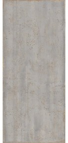 Piastrella da rivestimento interno ed esterno in gres porcellanato ARIANA 120 x 280 cm rettificato grigio satinato Metal R10 traffico medio forte (pei 3/5) Sp. 6 mm 3.36 mq