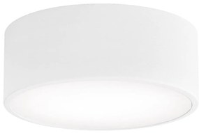 Plafoniera da bagno CLEO 1xE27/24W/230V diametro 20 cm bianco IP54