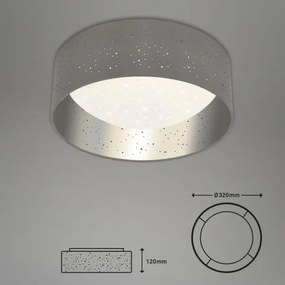 Briloner 3482014 - Lampada LED da soffitto STARRY LED/12W/230V grigio/argento