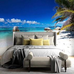 Carta da parati – Spiaggia Anse Source