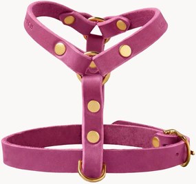 Imbracatura per cani in pelle Y-Harness, varie misure