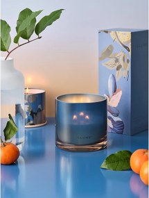 Candela profumata tempo di combustione 50 h Citrus Crush - ILLUME x Bloomingville