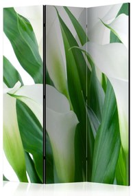 Paravento Bouquet - calle (3 parti) - fiori bianchi tra foglie verdi