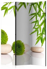 Paravento Green Relax [Room Dividers]