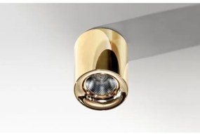 Azzardo AZ2846 - Plafoniera LED MANE 1xLED/10W/230V