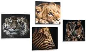 Set di quadri – Animali selvatici