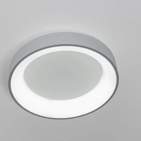 Brilagi - Plafoniera LED dimmerabile LED/40W/230V 3000-6500K grigio + tc