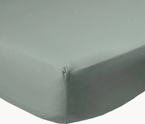 Lenzuolo con angoli boxspring in cotone percalle Sage