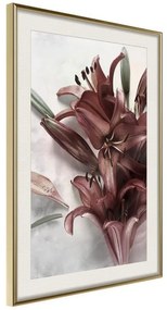 Poster  Burgundy Solace  Cornice Quadri Cornice d'oro con passe-partout, Larghezza x Altezza Home decor 20x30