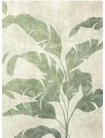 Coordonne Carta da parati panoramica Leaves Shadow - Leaves