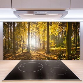 Pannello cucina paraschizzi Foresta, piante, natura 100x50 cm