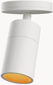 Faretto da soffitto regolabile Expo