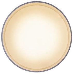 Globo 12015N - Plafoniera LED JENNY LED/8W/230V + LED/4W/230V