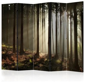 Paravento  Coniferous forest II [Room Dividers]  Colore Grigio, Dimensioni e Misure 225x172