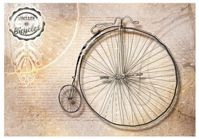 Fotomurale Vintage bicycles sepia