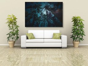 Quadro su tela – Notte nella foresta
