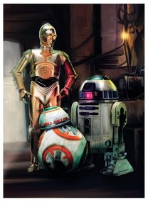 Fotomurale Star Wars three droid, multicolor