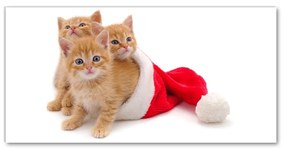 Quadro acrilico Gatti Babbo Natale 120x60 cm