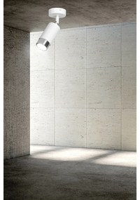 Faretto Orientabile 1 Luce Ragnar A Cilindro In Acciaio Bianco E Cromo