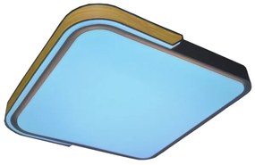 Rabalux 71146 - Plafoniera LED dimmerabile ARILD LED/48W/230V Wi-Fi Tuya