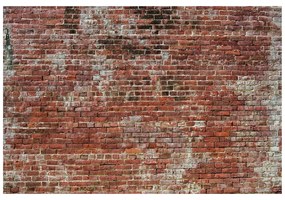 Carta da parati – Vecchio Muro di Mattoni