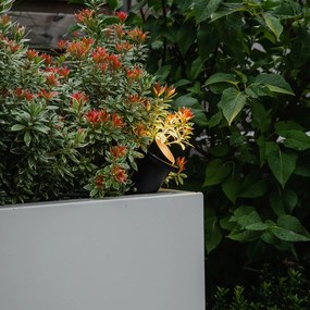 Faretto da giardino a picchetto nero con cavo e spina IP65 - DONE