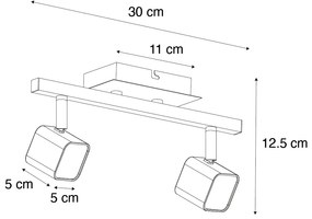 Plafoniera moderna nera con LED 2 luci - Nola